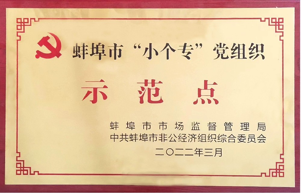 盛世新能源黨支部榮獲蚌埠市“小個(gè)?！秉h組織示范點(diǎn)稱號(hào)