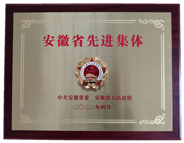 喜報(bào)省級表彰！熱烈祝賀安徽盛世新能源材料科技有限公司榮獲 “安徽省先進(jìn)集體”