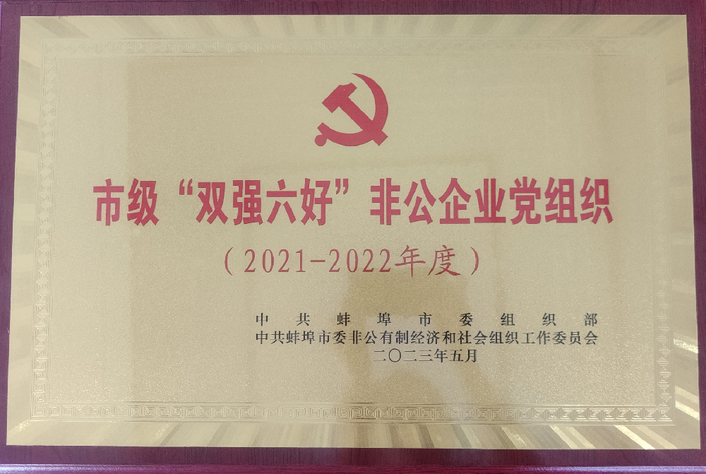 喜報！中共安徽盛世新能源材料科技有限公司支部委員會榮獲蚌埠市“雙強六好”非公企業(yè)黨組織榮譽稱號